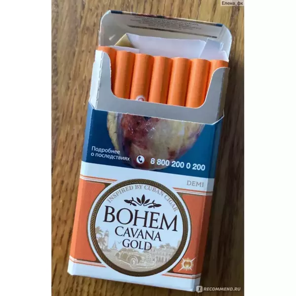 Bohem Cavana Gold Корея