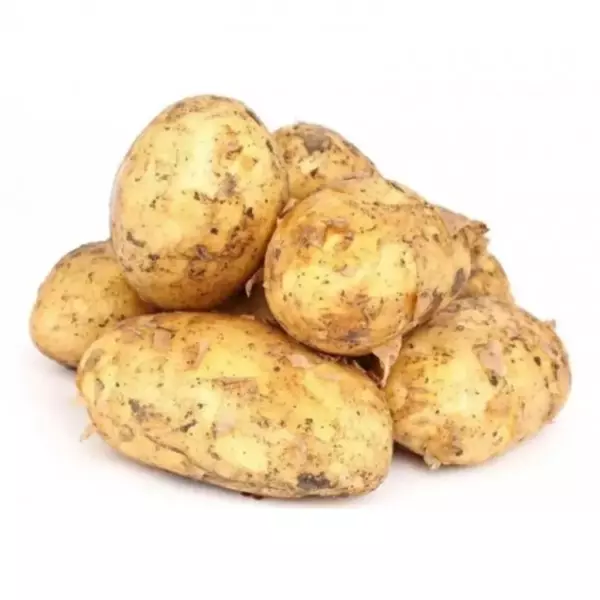 Картофель белый (Р)