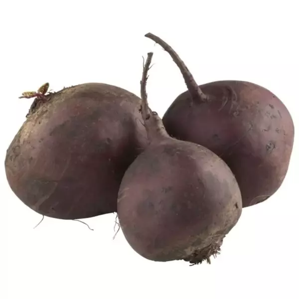 Свекла (Р)