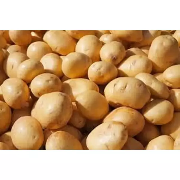Картофель мытый (Р) Китай