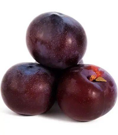 Слива Юг (Р)