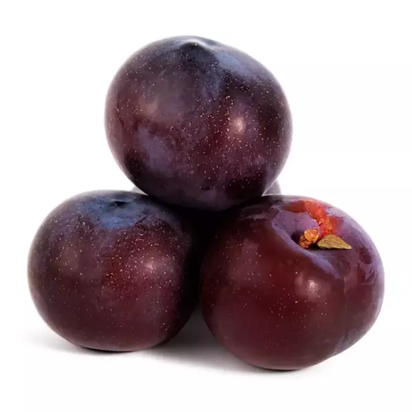 Слива Юг (Р)