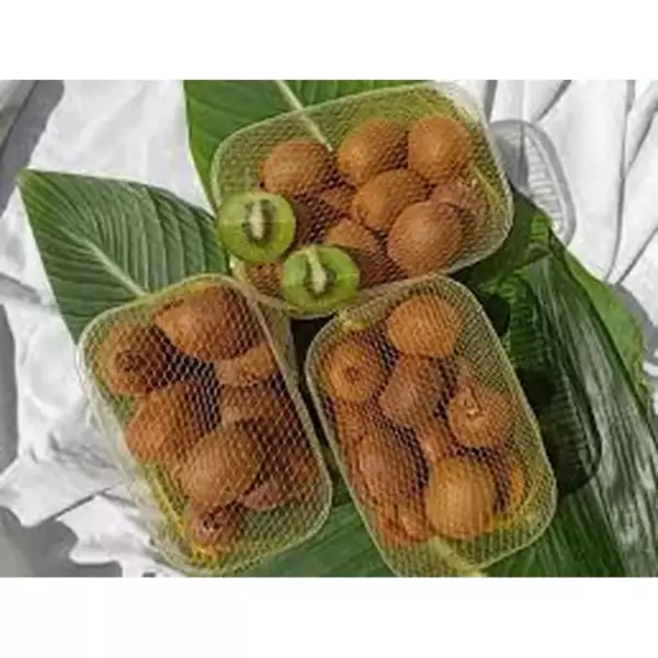 Киви корзинка (А)