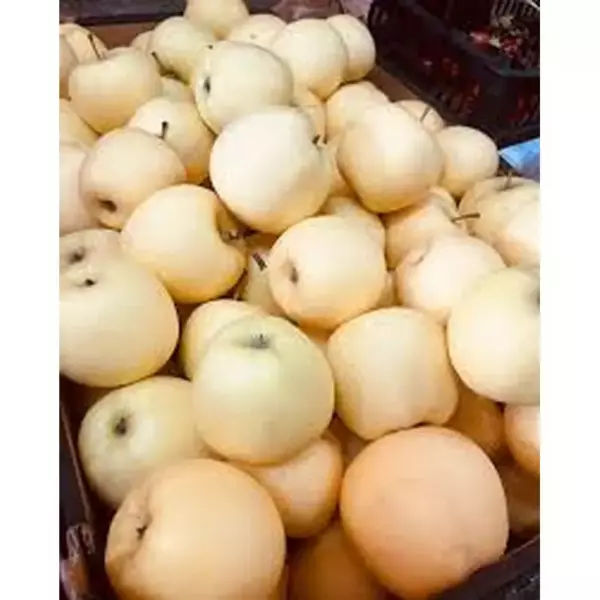 Яблоки Белоснежка (Р)