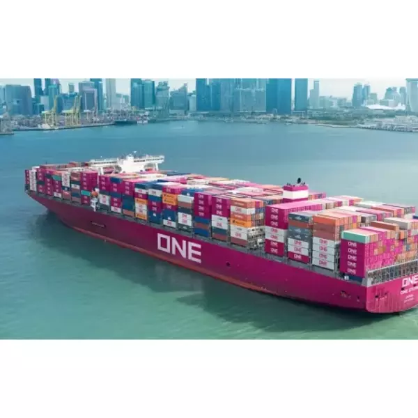 ONE STERILCAT GiG Beef 26x75g RU