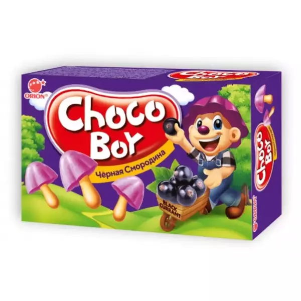 Печенье CHOCOBOY Black currant (смородина) 45г (30)
