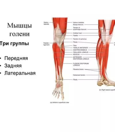 Голень БАМ в маринаде 1,5кг