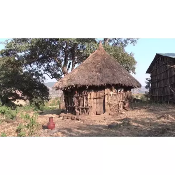 Сметана Село Лесное 20% 360г